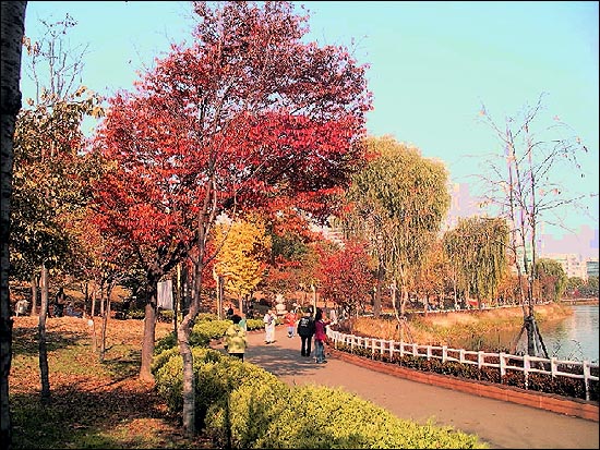 저녁 노을에 더욱 붉어진 호수가의 나무들. 